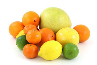 image05